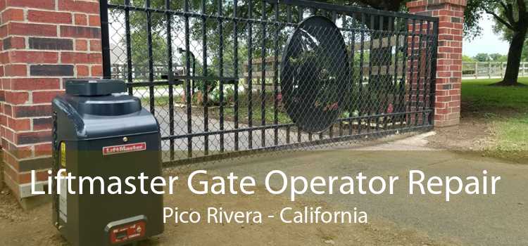 Liftmaster Gate Operator Repair Pico Rivera - California